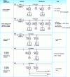 Figure 4 - Choice of distribution voltages