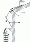 Figure 6 - Goat and stool