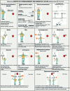 Figure 6 - Table of maneuvering gestures (source: OPPBTP)