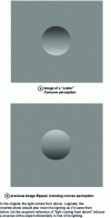 Figure 10 - Hemispherical surface visualized differently depending on lighting orientation