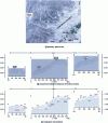 Figure 13 - Radar measurements taken on the Plan du Lac glacier (Vanoise)