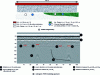 Figure 9 - FDTD simulation of a multilayer soil with four pipes: model geometry and radargram