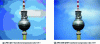 Figure 13 - Comparative compression JPEG//JPEG 2000 (source intoPIX)
