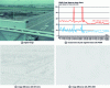 Figure 25 - Comparison of JPEG 2000 with the AVC-Intra video codec [24].