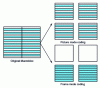 Figure 3 - Formatting macroblock data in raster or image mode