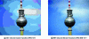 Figure 13 - Comparison of still images compressed with DCT transform (JPEG, MPEG...) or DWT wavelet transform (JPEG 2000) (Source intoPIX)