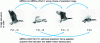 Figure 13 - Optimized prediction of periodic motion [17]