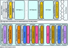 Figure 14 - AXF recording format ([48] – Fig. 3 +4)