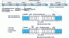 Figure 1 - AES3 container-format structure [1]