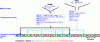 Figure 5 - The media payload of the Transport Stream TS data stream