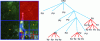 Figure 18 - Formation of Transform Units from Coding Units-Successive subdivision of a Coding Tree Unit (CTU) into Prediction Units (PU) and then Transform Units (TU)