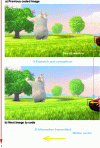 Figure 7 - Identical macroblock existing in the previously coded image (a) but not at the same position as in the next image to be coded (b) (image "Big Buck Bunny")
