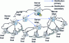 Figure 34 - CDN (Content Delivery Network)