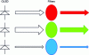 Figure 39 - Simplified diagram of OLED pixel structure