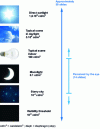 Figure 9 - Observable contrasts