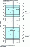 Figure 20 - Exploitation copy of 35 mm film for panoramic formats (according to NF S25-007, 1958)