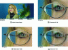 Figure 13 - Image examples of various resolutions – Digital cinema, HDTV, SDTV [Flying Eye].