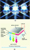 Figure 12 - OLED diodes