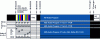 Figure 34 - Organization of PAD tracks [CST/FICAM/HD Forum].