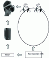 Figure 3 - The technical loop corresponding to the vestibulo-ocular reflex (RE: Real Environment)