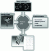 Figure 3 - SI2M project to evaluate ADAS while driving a car (Copyright Oktal)