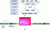 Figure 20 - IP (Internet Protocol) based transmission and application system