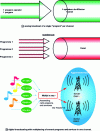 Figure 21 - Radio service multiplexing