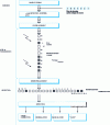 Figure 27 - The role of interlacing and de-interlacing