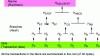 Figure 11 - Merkle tree (after [24])