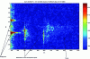 Figure 25 - HF Coastal Radar Doppler-distance image