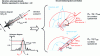 Figure 3 - Illustration of the notion of spatial correlation between signals or propagation paths