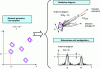 Figure 6 - Ambiguity of order 1 in a single-source receive antenna array