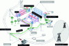 Figure 1 - Outdoor PLC network architecture