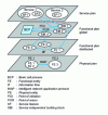 Figure 1 - Smart grid conceptual model