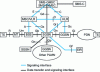 Figure 2 - Interfaces between GPRS network elements