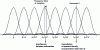 Figure 5 - Orthogonality of OFDM subcarriers