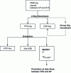 Figure 10 - 802.11i cryptographic key hierarchy – Infrastructure mode