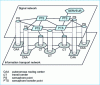 Figure 5 - Semaphore channel signalling network