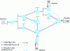 Figure 13 - Initial flooding phase on all IP multicast network links