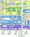 Figure 20 - Detailed Release 8 LTE/SAE system architecture (source: [TS 23.002] [TS 23.401]) (UMA/GAN, VCC, TISPAN and circuit domain not shown) 