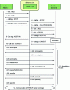 Figure 4 - H.323 call
setup procedure (H.225.0 and H.245 messages)