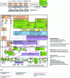 Figure 10 - Example of digital content protection in the transmission chain (cable access network, CDN and uplinks not shown)