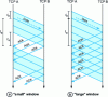 Figure 12 - Flow control with sliding window