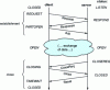 Figure 6 - Phases of a DCCP connection