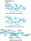 Figure 14 - Setting up an LSP