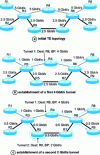 Figure 7 - Procedure for establishing two TE tunnels