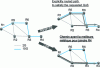 Figure 6 - MPLS tunneling (LDP and RSVP-TE)