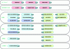 Figure 11 - DDT tree in 2016, including nodes deployed within regional Internet registries with the exception of Africa