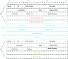 Figure 4 - LISP header format