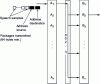 Figure 16 - Principle of packet switching over Ethernet